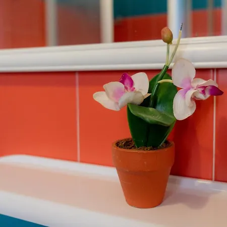 Stella Maris 게스트하우스