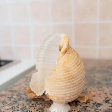 게스트하우스 Stella Maris 3*